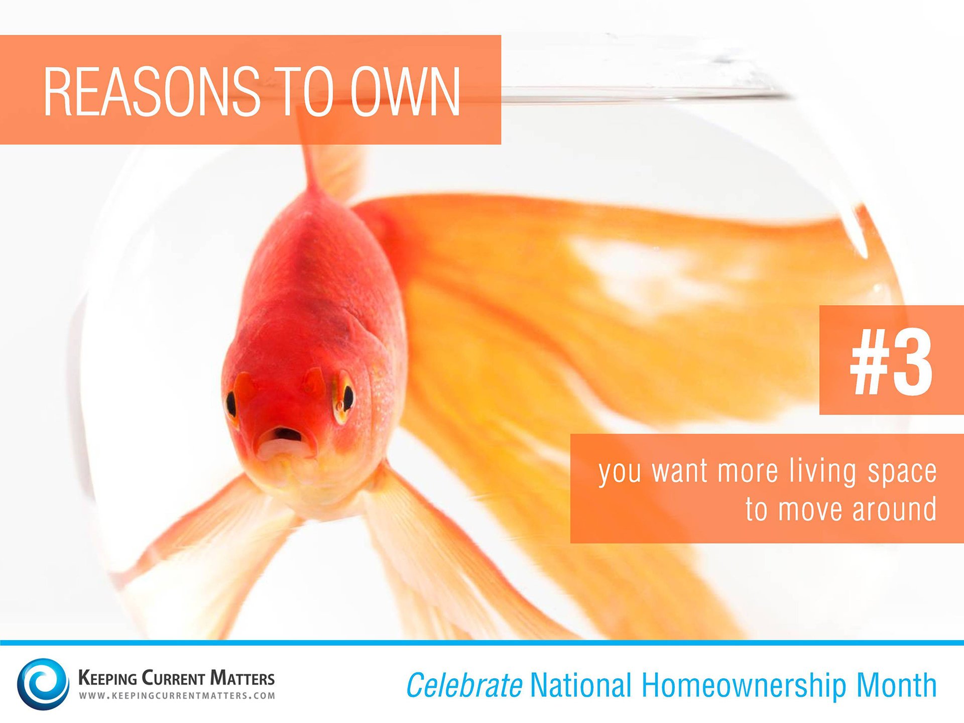 Reason #3 to Own | Keeping Current Matters
