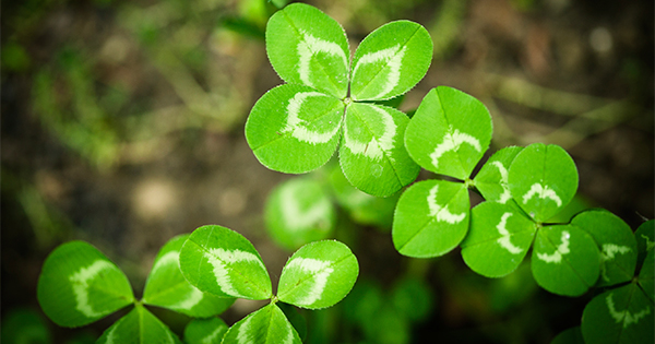 Don’t Let Your “Luck” Run Out | Keeping Current Matters