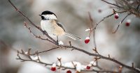 The #1 Reason to Sell Now… Not Next Spring | Keeping Current Matters