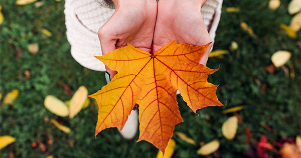 5 Reasons to Sell This Fall | Keeping Current Matters